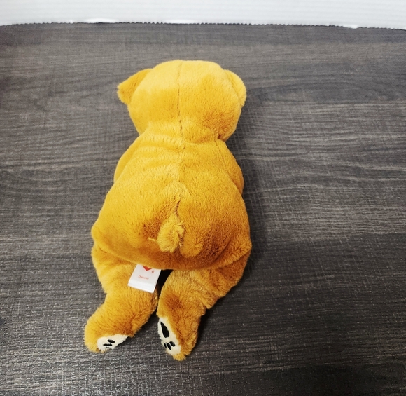 📌NA - Picture 5 of 6